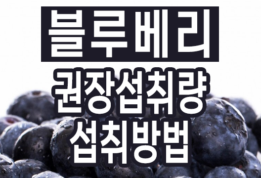 블루베리 효능, 작지만 강력한 수퍼푸드의 적정 섭취량과 섭취 방법