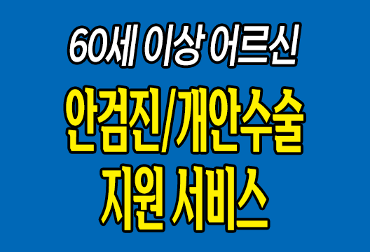 60세 이상 노인 안검진 및 개안수술 지원 서비스