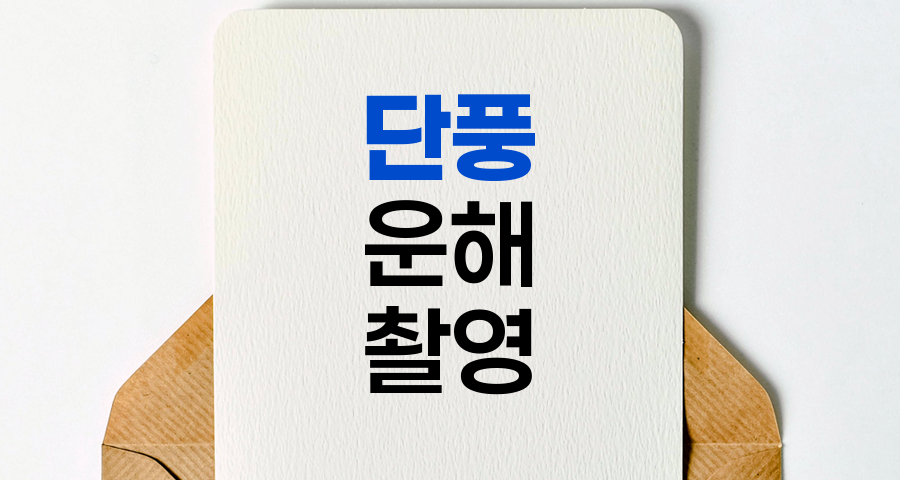 가을 산행의 절정, 단풍과 운해 사진 촬영 노하우