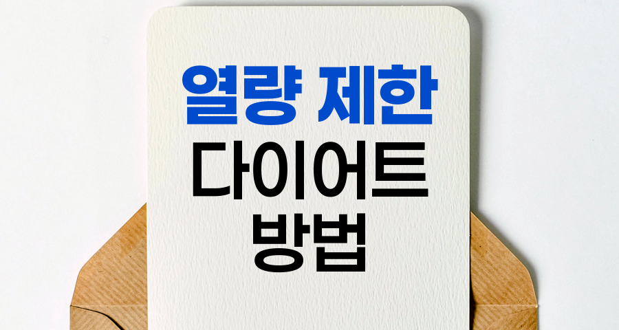 효과적인 열량 제한 다이어트 방법