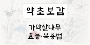 가막살나무