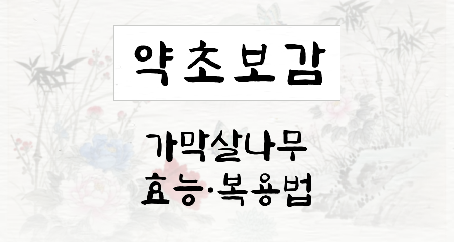 가막살나무