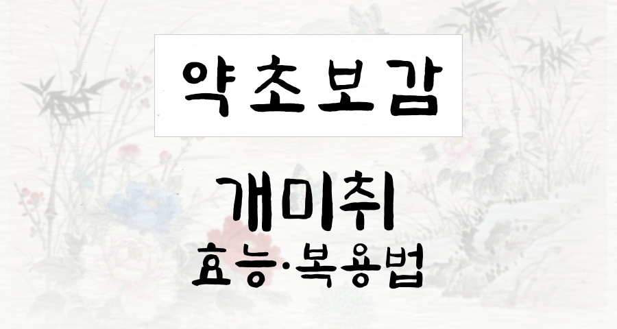 개미취