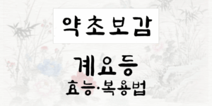 계요등