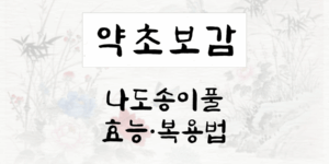 나도송이풀