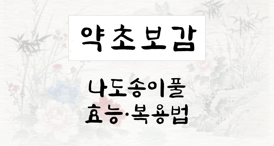 나도송이풀