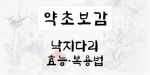 낙지다리