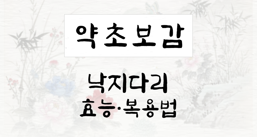 낙지다리