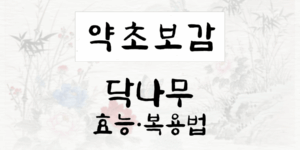 닥나무