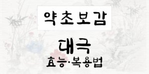 대극