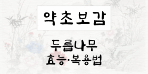 두릅나무