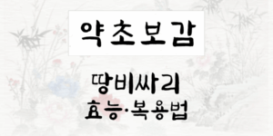 땅비싸리