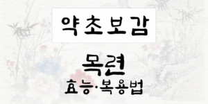 목련