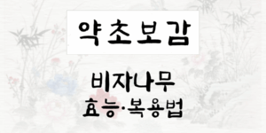 비자나무