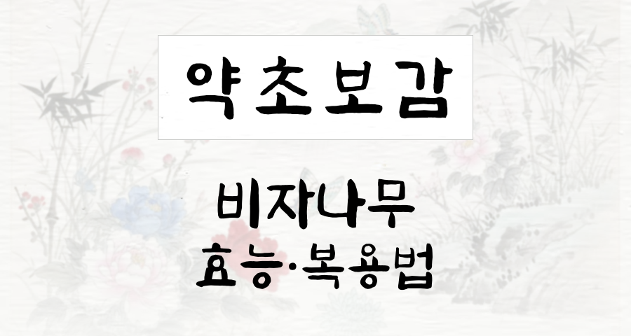 비자나무