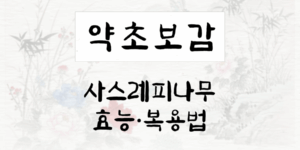 사스레피나무