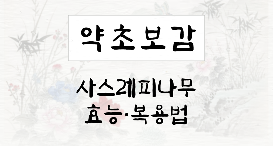사스레피나무