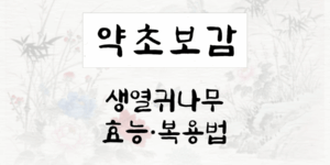 생열귀나무