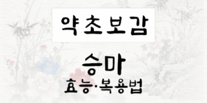 승마