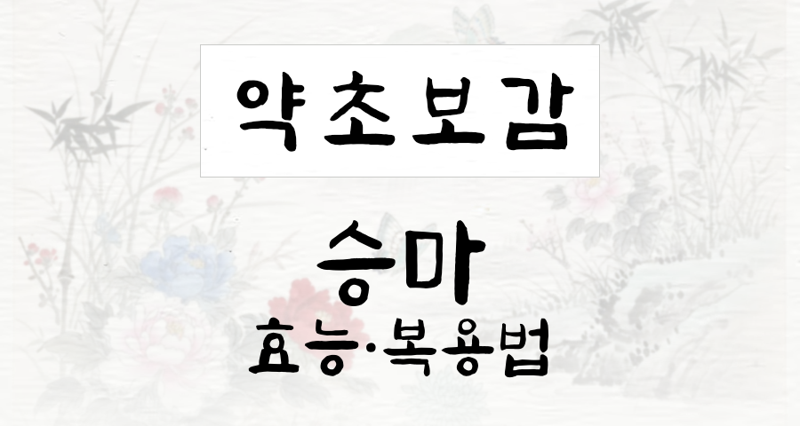승마