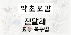 진달래