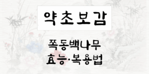 쪽동백나무