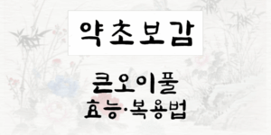 큰오이풀