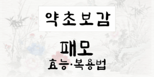 패모