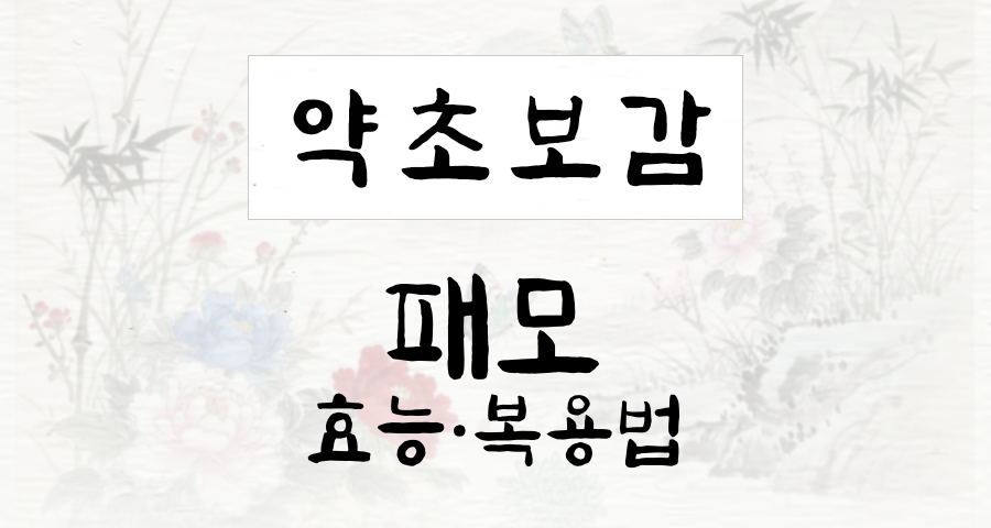 패모