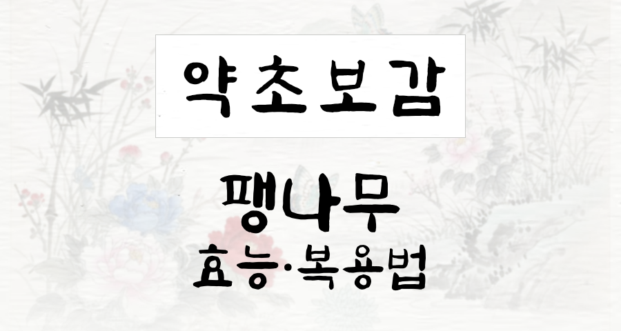 팽나무