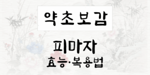 피마자