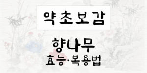 향나무