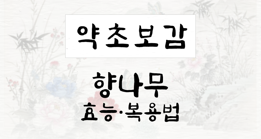 향나무