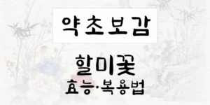 할미꽃