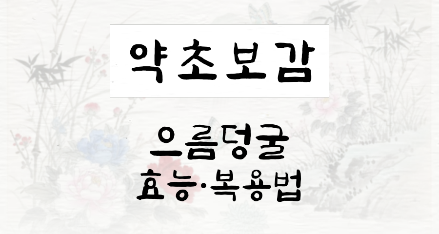 으름덩굴(목통) 효능부터 복용법까지 완벽 정리 – Good65