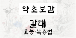 갈대