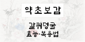 갈퀴덩굴