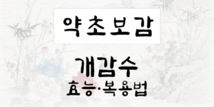 개감수
