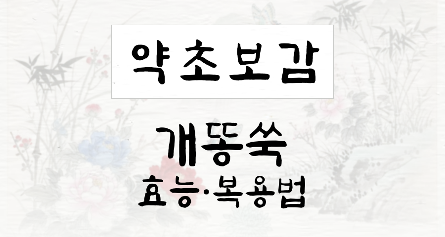 개똥쑥