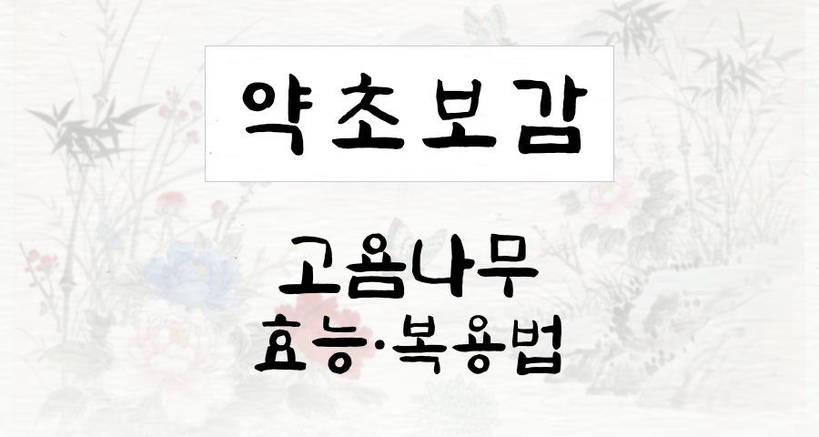 고욤나무
