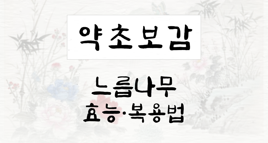 느릅나무
