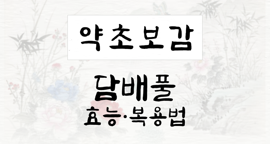 담배풀