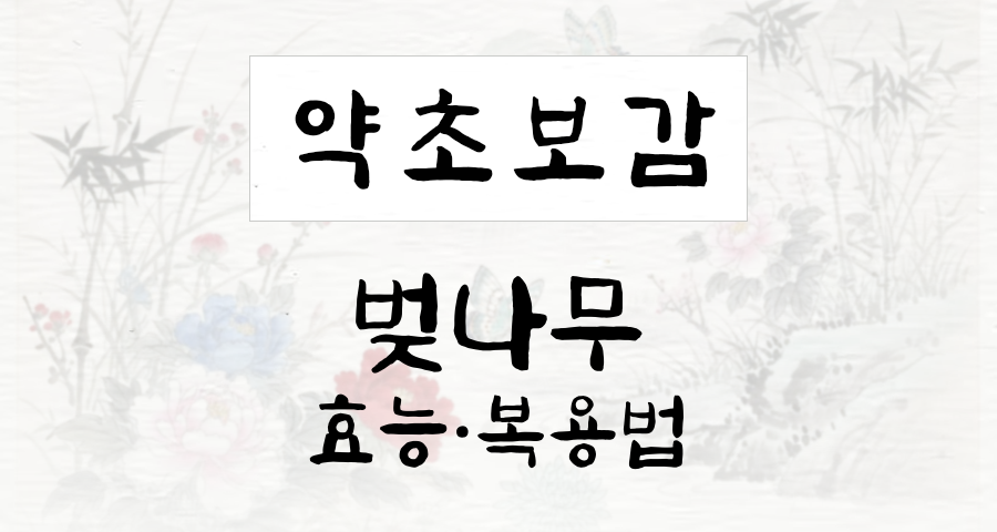 벚나무