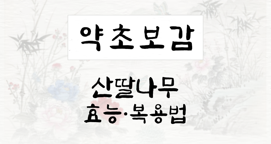 산딸나무