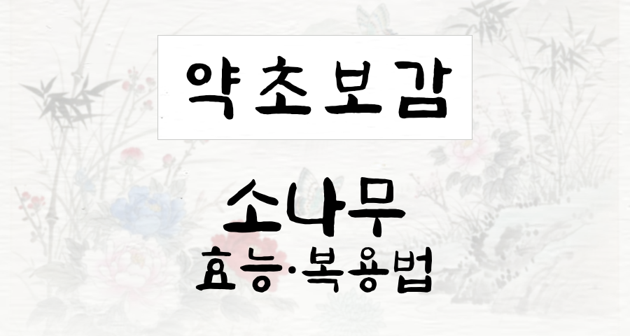 소나무