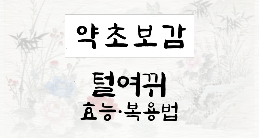 털여뀌