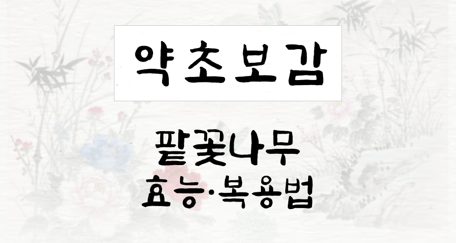 팥꽃나무