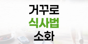 소화 부담 줄이는 거꾸로 식사법, 현명한 식이섬유·단백질 섭취 전략