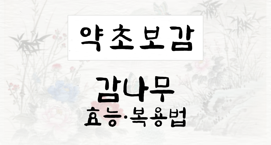 감나무 효능 및 시체(柿蔕) 활용법 총정리 – Good65
