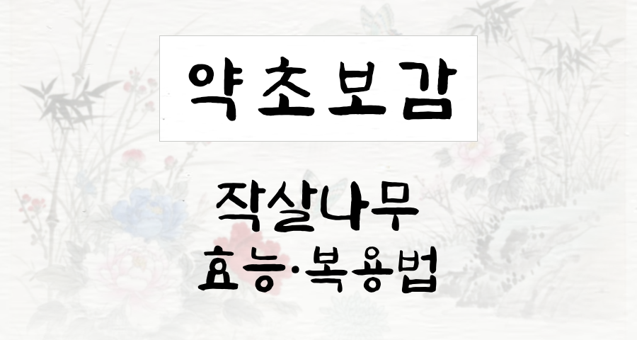 작살나무(자주) 효능과 복용법 완벽 정리: 보랏빛 열매의 숨겨진 힘 – Good65